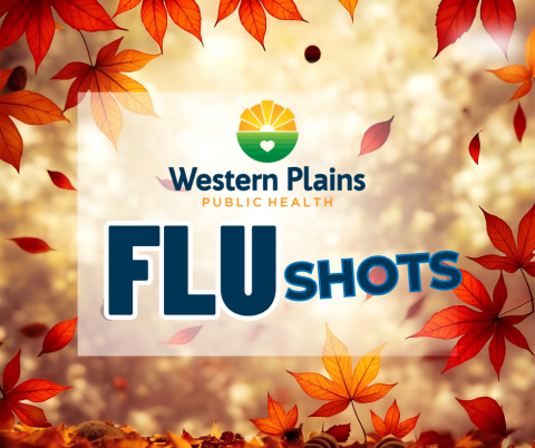Flu Shots 2026